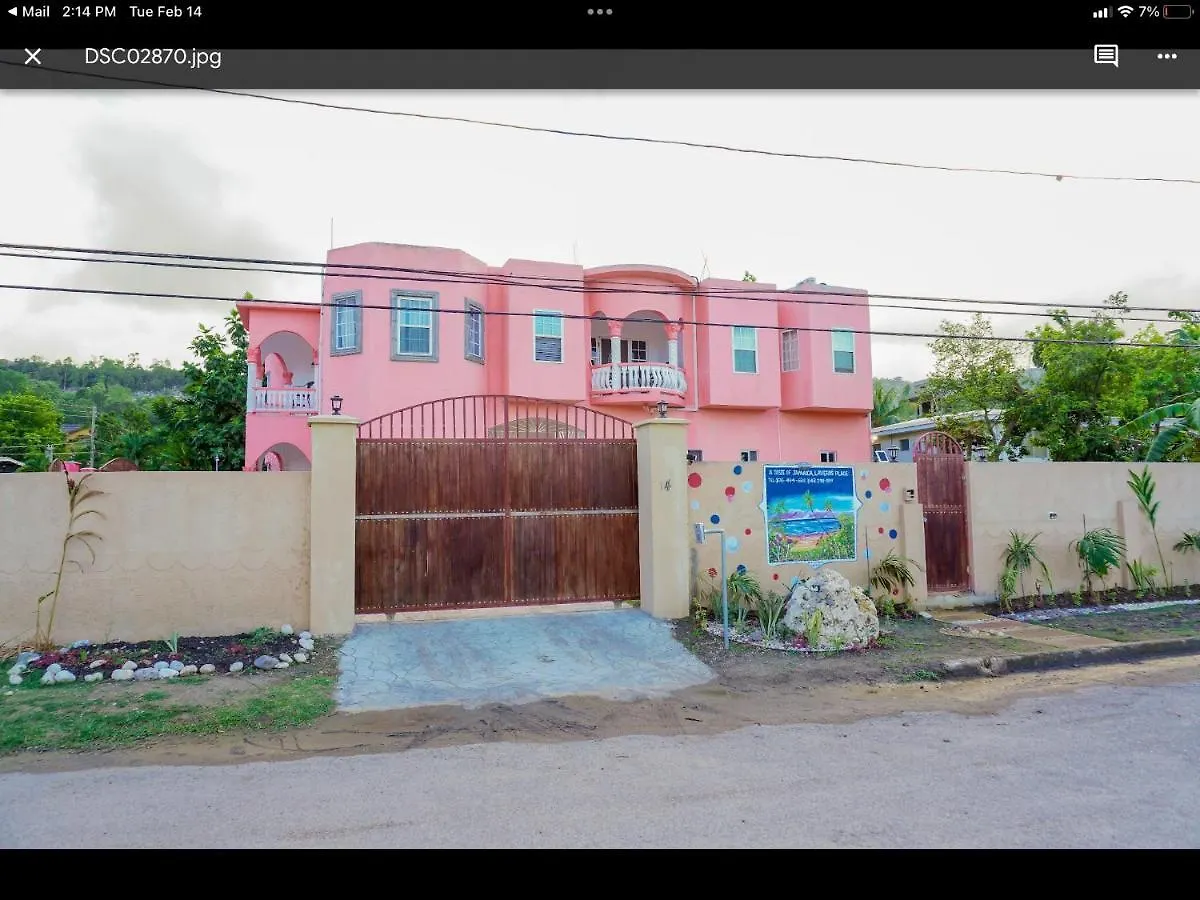 A Taste Of Jamaica Lavern'S Place Ocho Ríos 0*,  Jamaïque